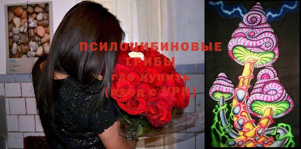 спайс Коряжма
