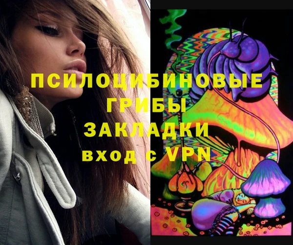дурь Костерёво